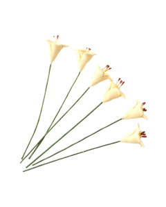 Single Yellow Lilies- Pack of 6