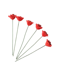 Single Red Roses- Pack of 6