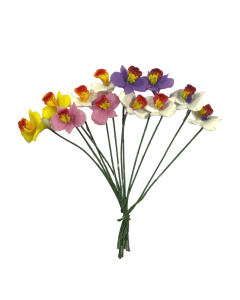 Orchids, Set of 12