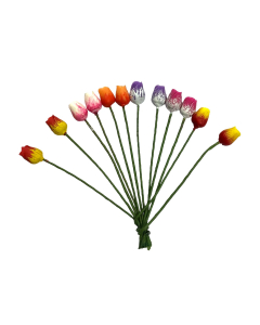 Tulips, Set of 12