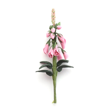 E3843 - Wild Pink Foxglove