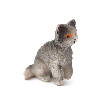 E5653 - Jasper the Cat