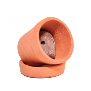 CP150 Hedgehog in a Clay Pot