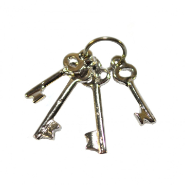 D2452 - Silver Keys