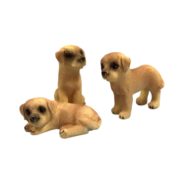 Golden Labrador Puppy, Pack of 3