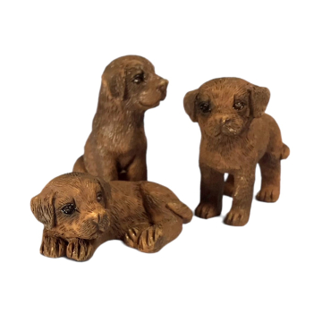 Chocolate Labrador Puppy, Pack of 3