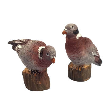 Pigeons, Pack of 2