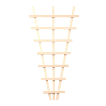 DIY636 Climbing Plant Frame