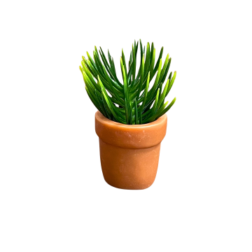 Plant in Brown Pot