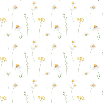 Yellow Daisy Flower