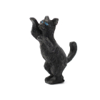 E2916 - Playful Poppy Cat