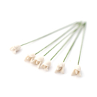 E4798 - White Tulips, 6 pcs