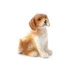 E5007 - Scoobie the Brown & White Pup