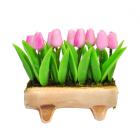 D1654 - Wooden Planter with Tulips