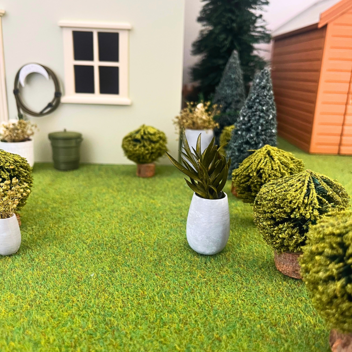 Large Evergreen Tree