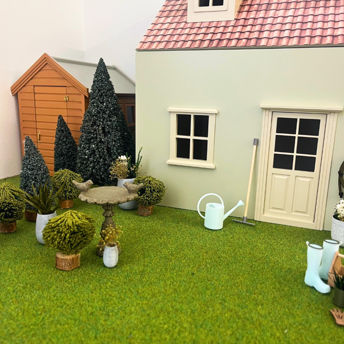 Medium Evergreen Tree