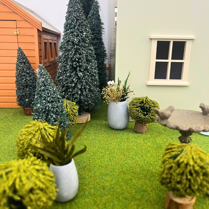 Medium Evergreen Tree