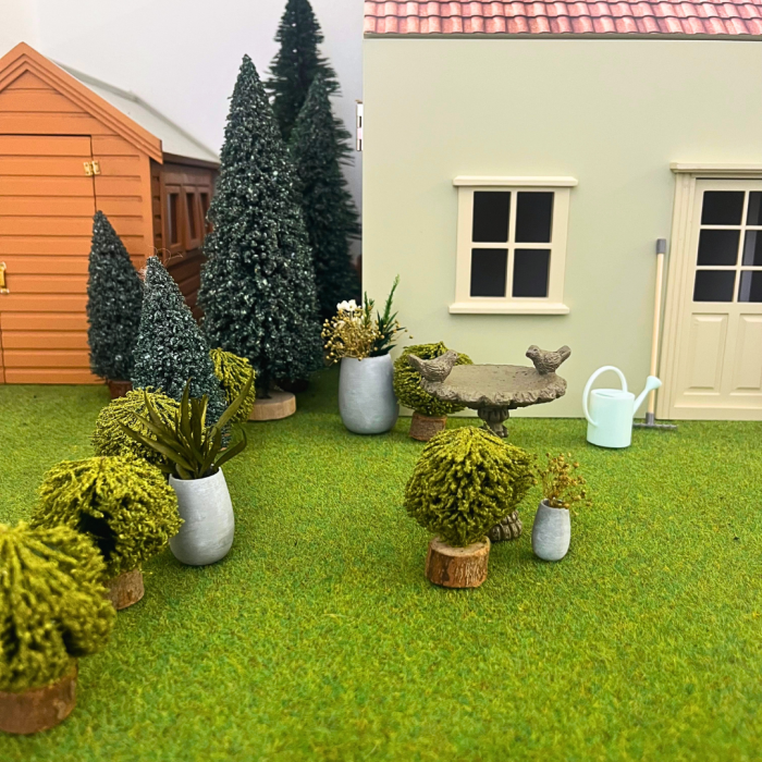 Medium Evergreen Tree